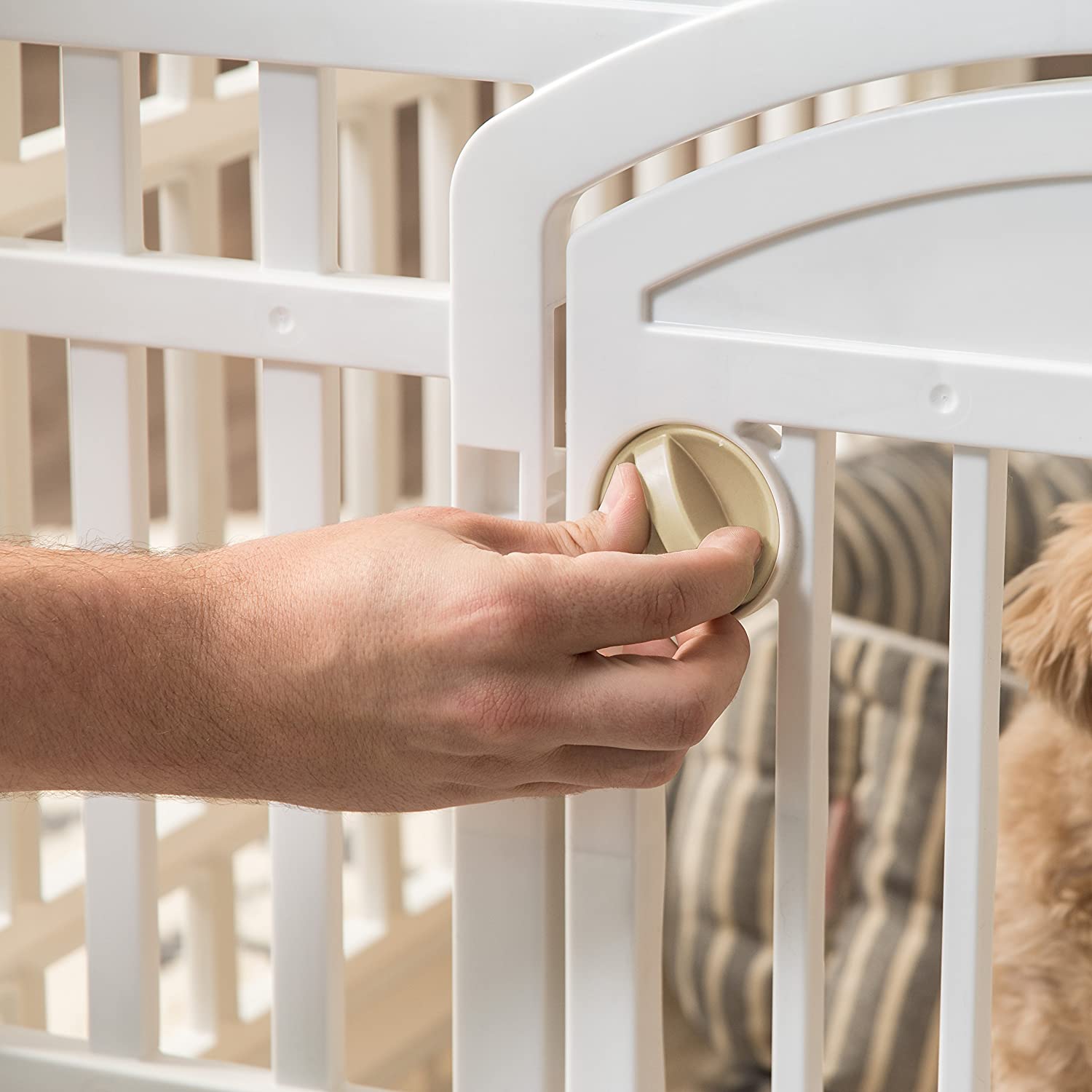 Pet playpen with 2025 door